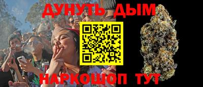гидра Кимры