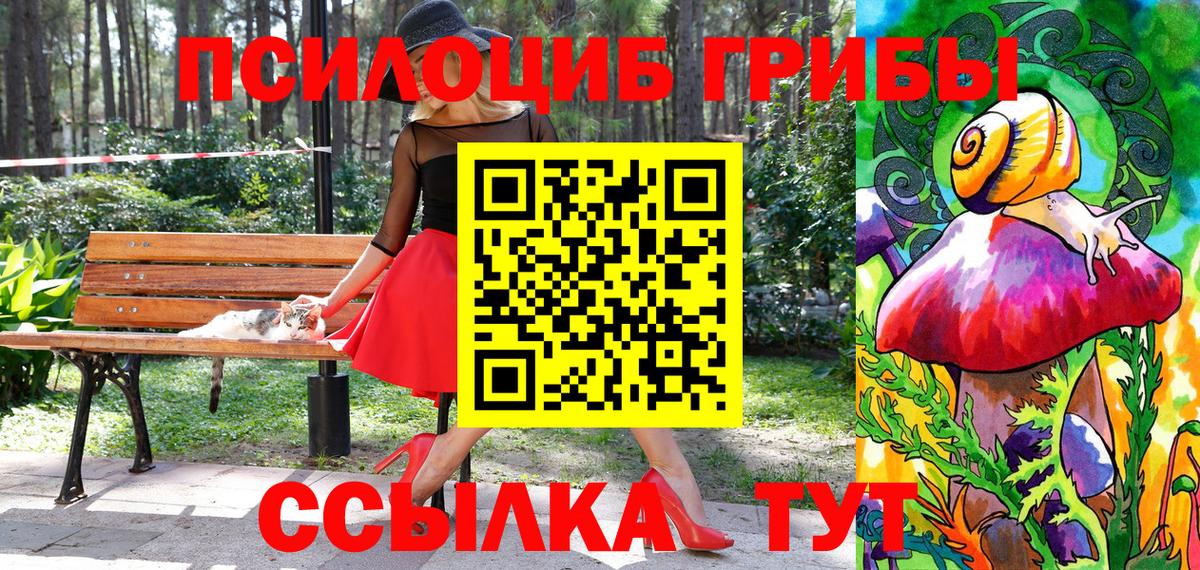Кострома  Галлюциногенные грибы Psilocybe  Галлюциногенные грибы Cubensis  Вход с VPN 